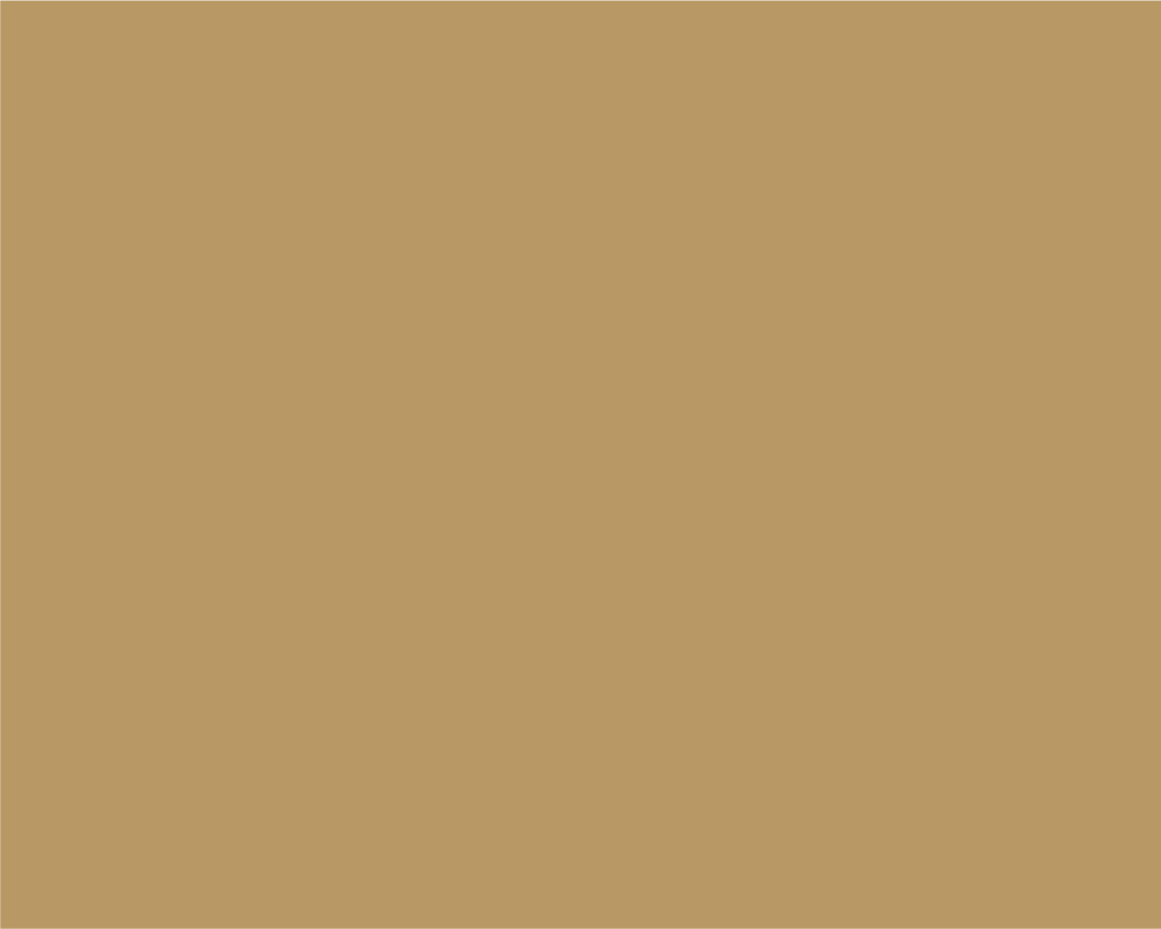Project 1